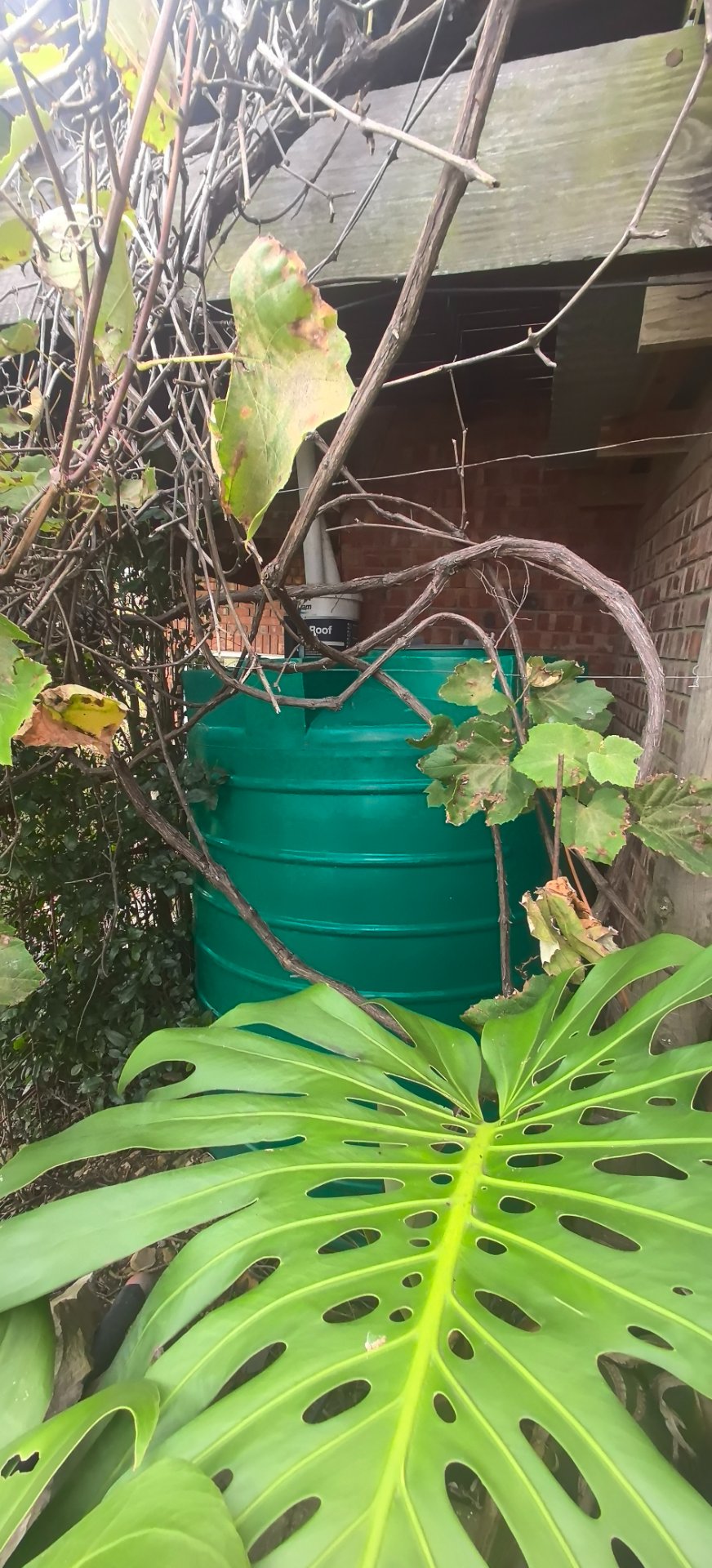 4 Bedroom Property for Sale in Noorsekloof Eastern Cape